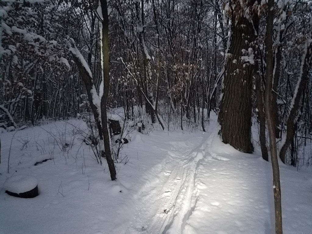 Elm Creek Singletrack Trailhead | 1688 W Hayden Lake Rd, Champlin, MN 55316, USA | Phone: (763) 694-7894