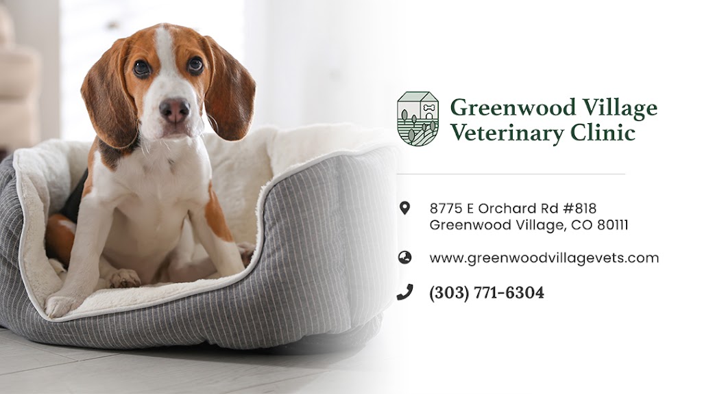 Greenwood Village Veterinary Clinic | 8775 E Orchard Rd Ste 818, Greenwood Village, CO 80111 | Phone: (303) 771-6304