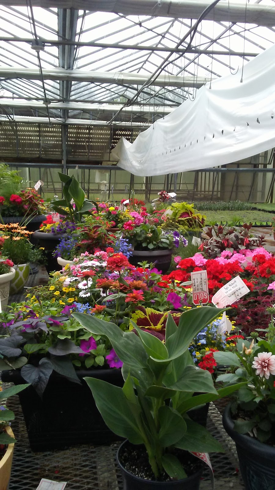 Weingartner Greenhouse | 1816 Old Butler Rd, New Castle, PA 16101, USA | Phone: (724) 992-8037