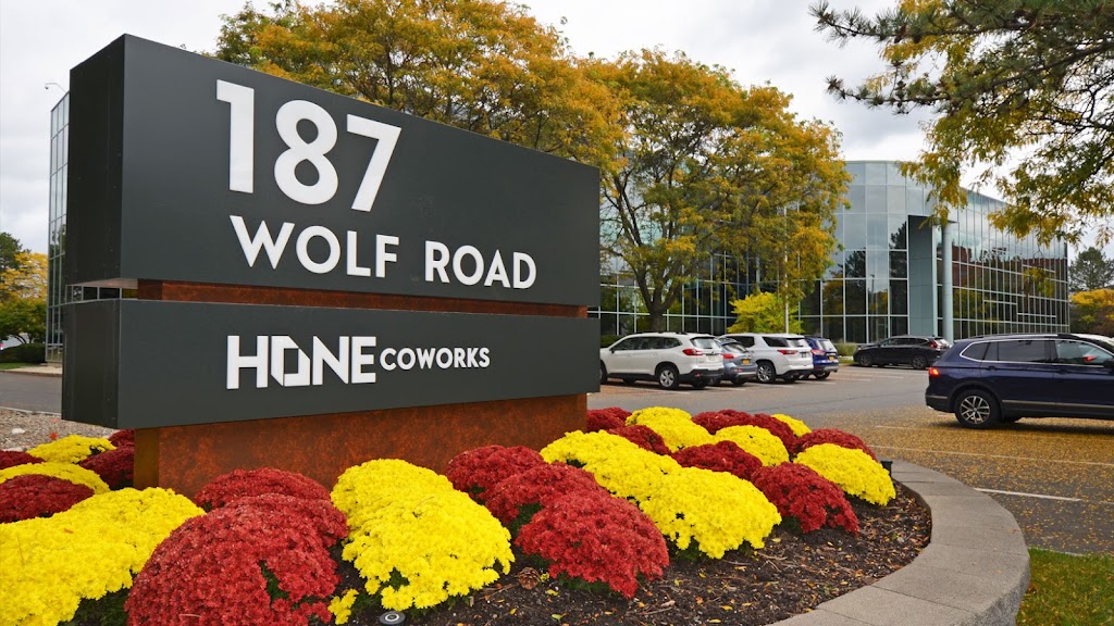 Hone Wolf Road | 187 Wolf Rd Suite 300, Albany, NY 12205 | Phone: (518) 250-4855