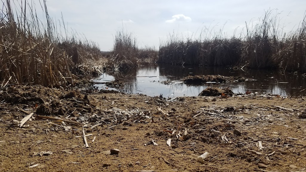 Mud Lake Forest and Ponds State Natural Area | Tollefson Rd, Rio, WI 53960, USA | Phone: (888) 936-7463