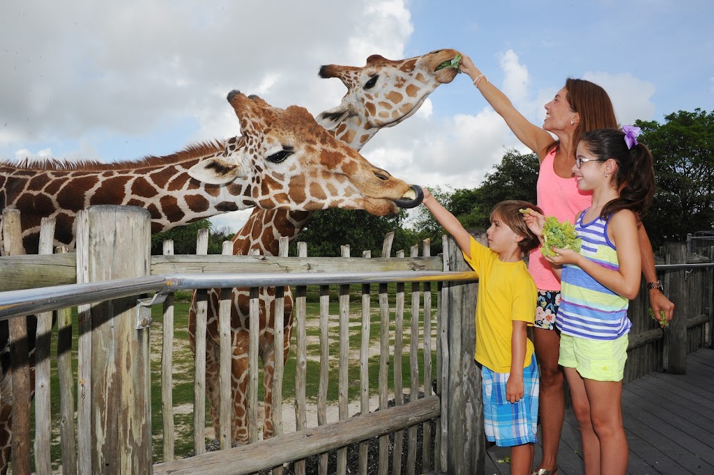 Zoo Miami | 12400 SW 152nd St, Miami, FL 33177, USA | Phone: (305) 251-0400