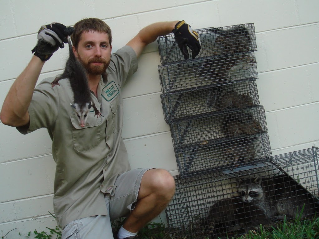 Burlington Wildlife Removal | 704 Cairn Cir, Burlington, NC 27217, USA | Phone: (336) 792-4680