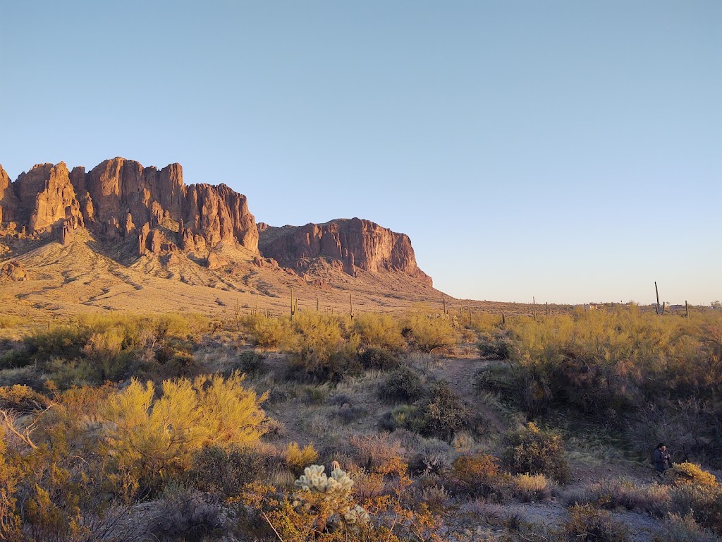 Saguaro Day Use | Unnamed Road, Apache Junction, AZ 85119, USA | Phone: (480) 982-4485