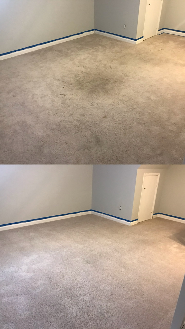 Carpet First LLC | 2410 Harborwood Rd, Catonsville, MD 21228 | Phone: (410) 747-2447