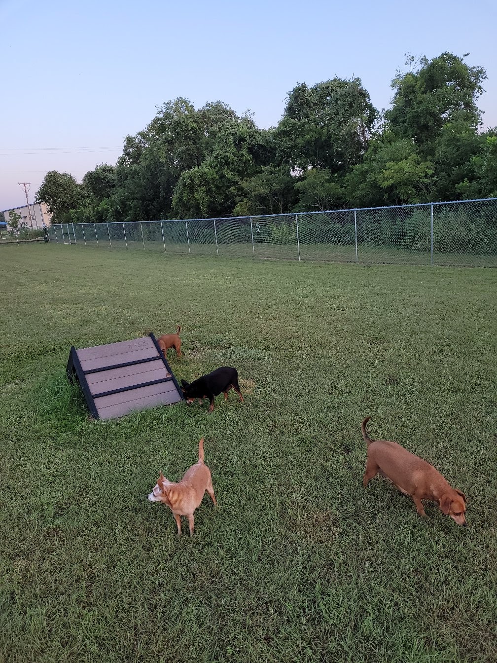 Brushy Creek Dog Park | 200 Co Rd 197, Hutto, TX 78634 | Phone: (512) 759-2275