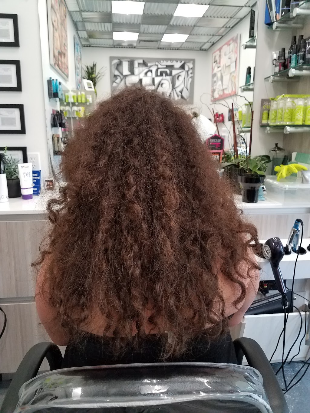 Sola Salon Studios | 917 E Arques Ave, Sunnyvale, CA 94085, USA | Phone: (408) 763-8800