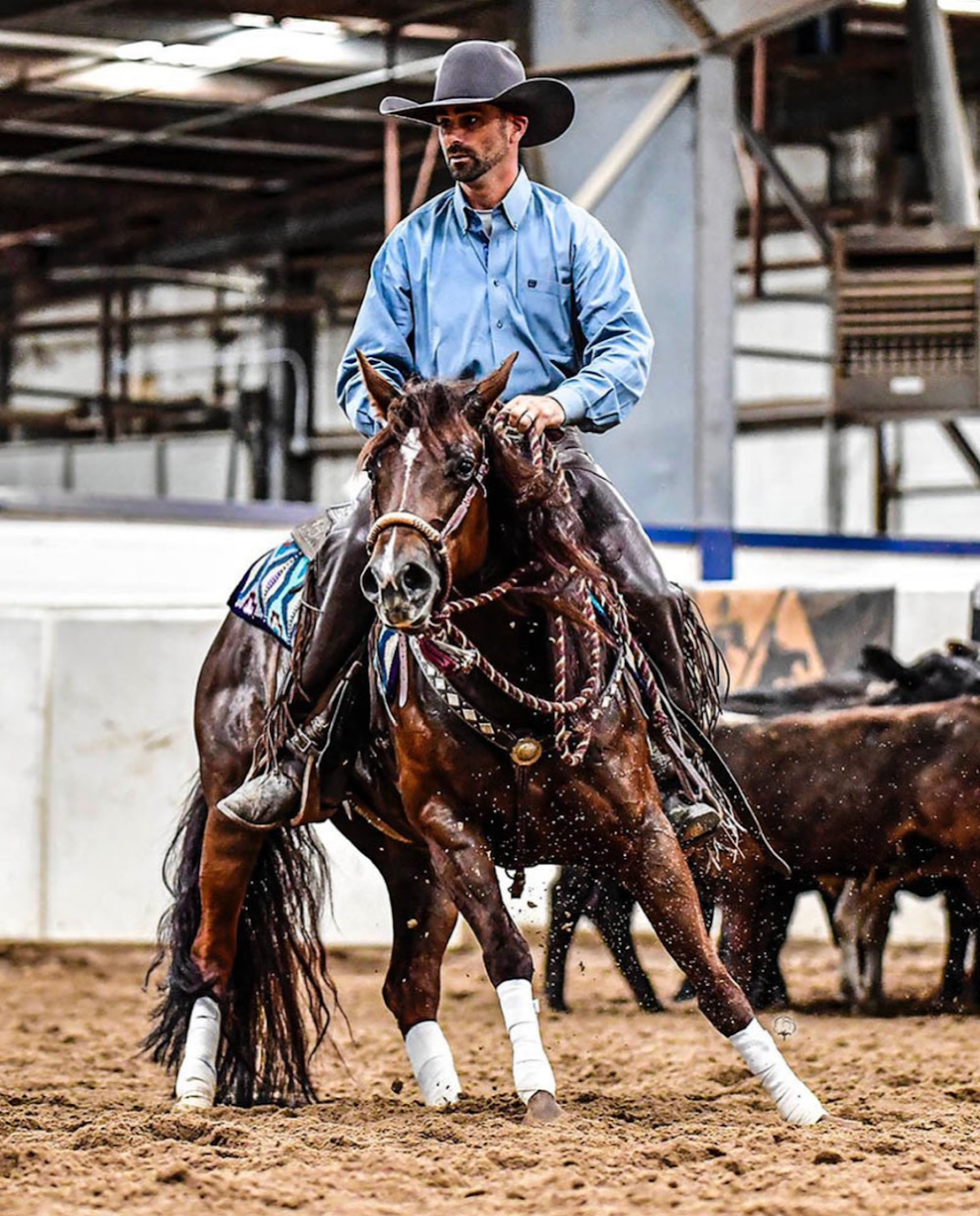 The Saddle House | 5503 Farm to Market 359 Suite F, Richmond, TX 77406 | Phone: (832) 600-1680