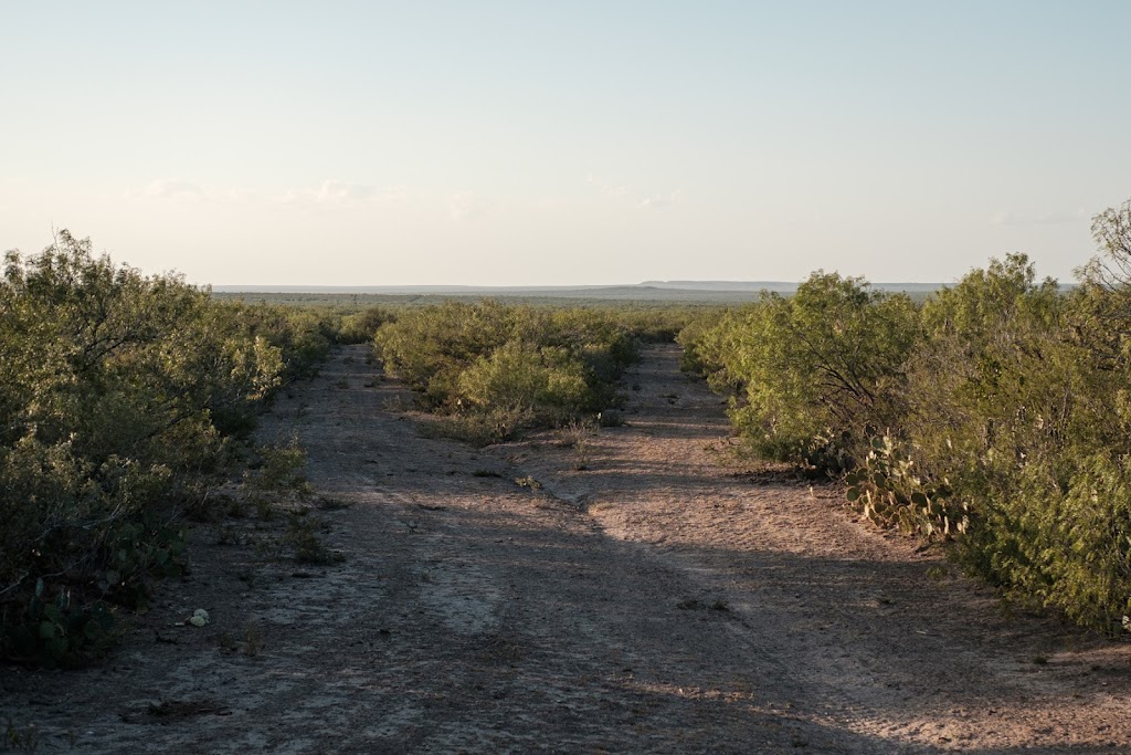 Shaw Family Ranch | Las Lomas Rd, Freer, TX 78357, USA | Phone: (210) 889-2559