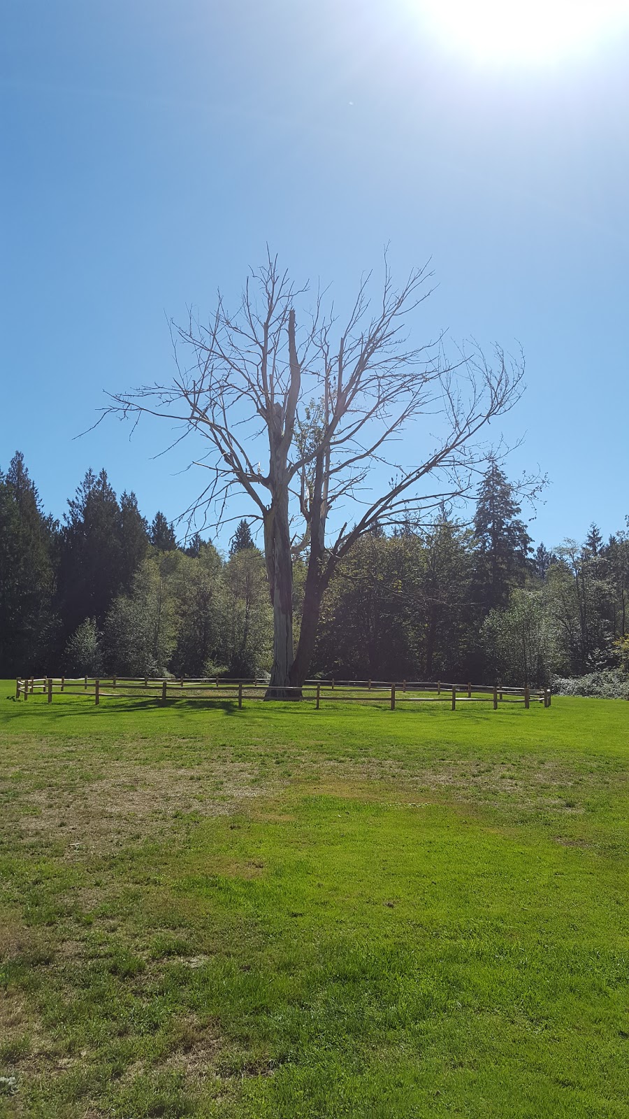 Sehmel Homestead Park | 10123 78th Ave NW, Gig Harbor, WA 98332, USA | Phone: (253) 858-3400 Sehmel Homestead Park | 10123 78th Ave NW, Gig Harbor, WA 98332, USA | Phone: (253) 858-3400