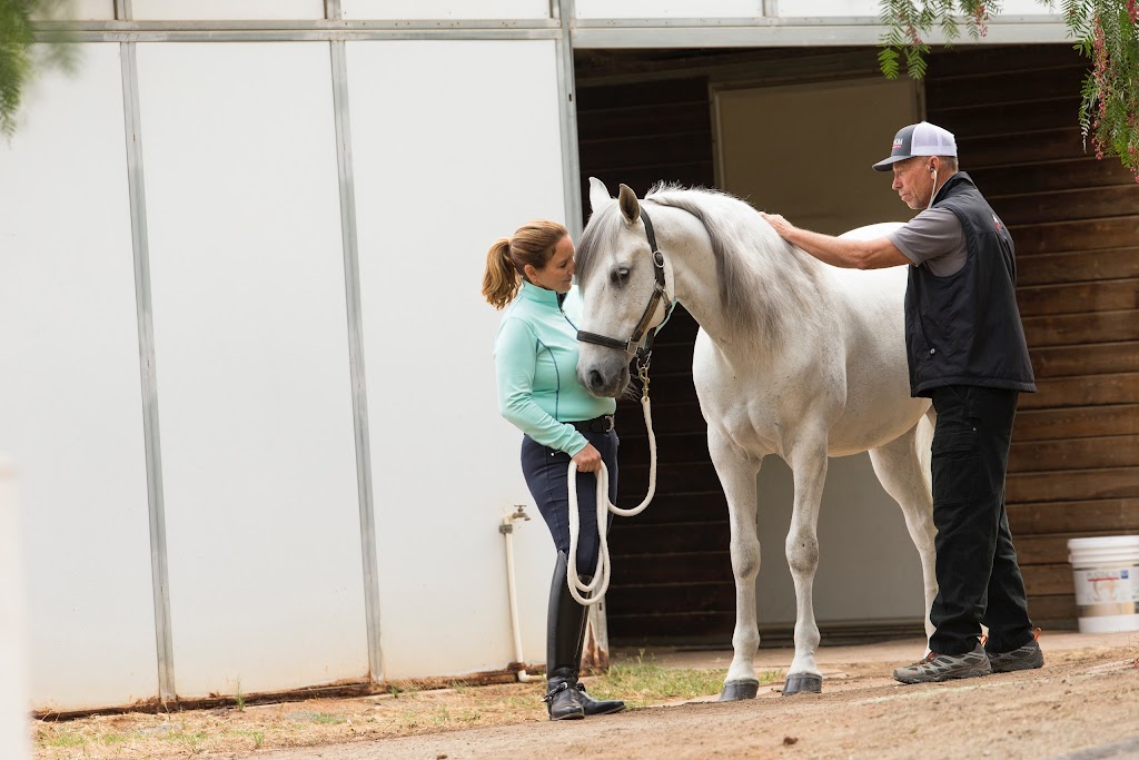 East County Large and Small Animal Practice | 10312 Quail Canyon Rd, El Cajon, CA 92021, USA | Phone: (619) 561-4661