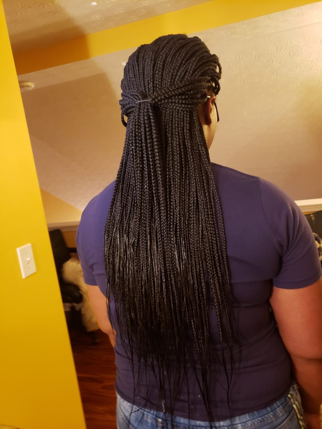 kine african hair braiding | 6901 Laysan Teal Ct, Louisville, KY 40228, USA | Phone: (502) 298-4993