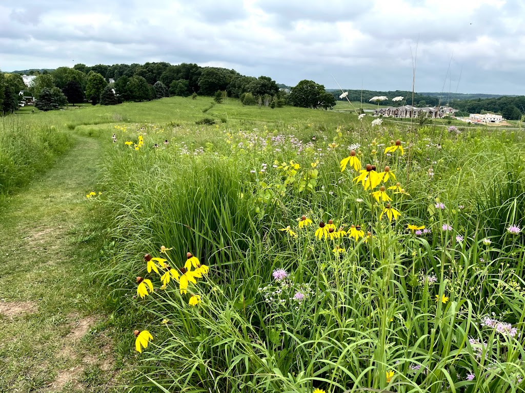 Prairie Ridge Conservation Park | 2406 Berkley Dr, Madison, WI 53719, USA | Phone: (608) 266-4711