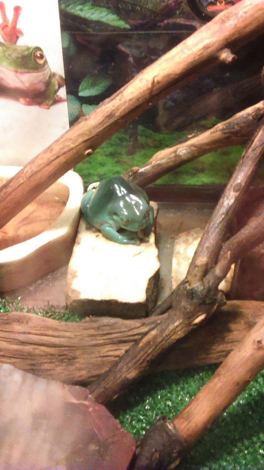 Chaparral Mobile Ranch | 9760 Portland Rd NE, Salem, OR 97305, USA | Phone: (503) 393-0344