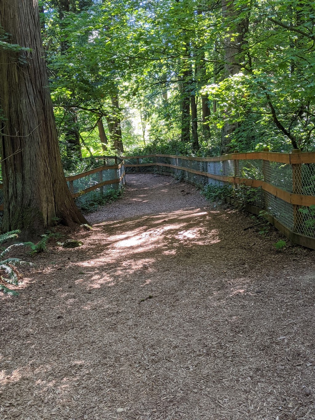 Edith Moulton Off Leash Area | 13634 108th Ave NE, Kirkland, WA 98034, USA | Phone: (425) 587-3300