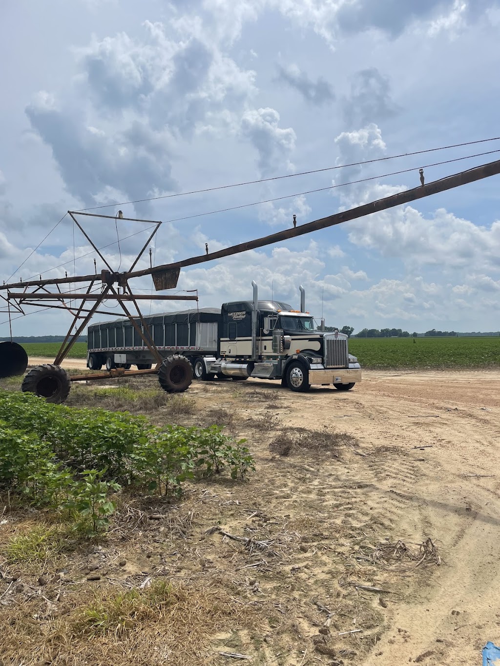 Metzger Trucking Co | 208 S Jefferson St, Silver Lake, IN 46982, USA | Phone: (800) 448-4638