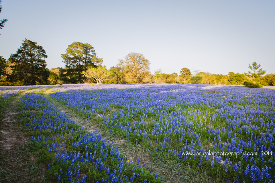 The Eagles Nest Log Cabin | 2158 TX-304 #4, Smithville, TX 78957, USA | Phone: (512) 497-9502