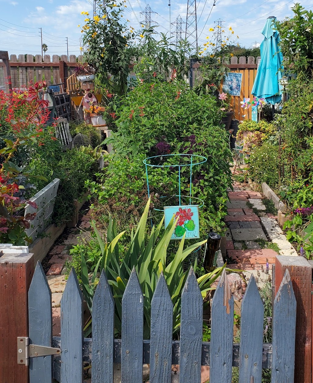 Seal Beach Community Garden | Seal Beach, CA 90740, USA | Phone: (562) 431-2527