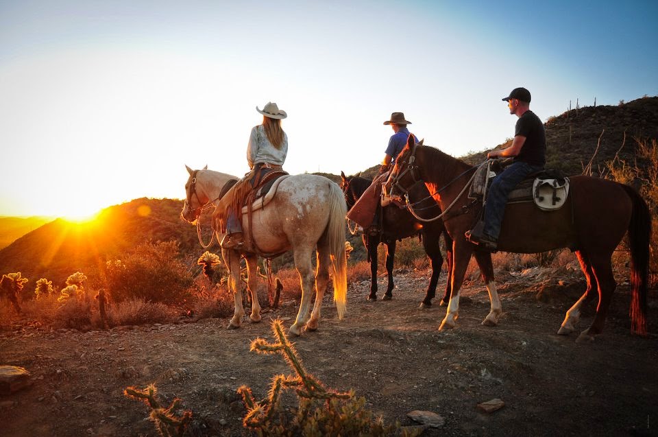 Cave Creek Trail Rides | 37019 N 32nd St, Cave Creek, AZ 85331, USA | Phone: (623) 742-6700