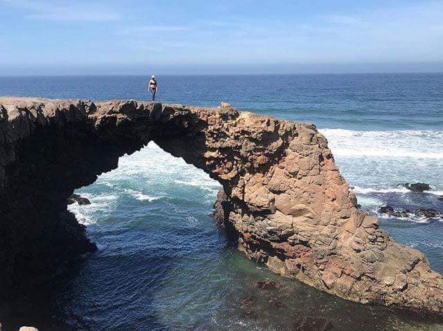 Experiencias baja tours & traslados valle de Guadalupe | Carretera el tigre kilómetro 3.4 villa de Juarez, 22320 Ensenada, B.C., Mexico | Phone: 661 131 7299