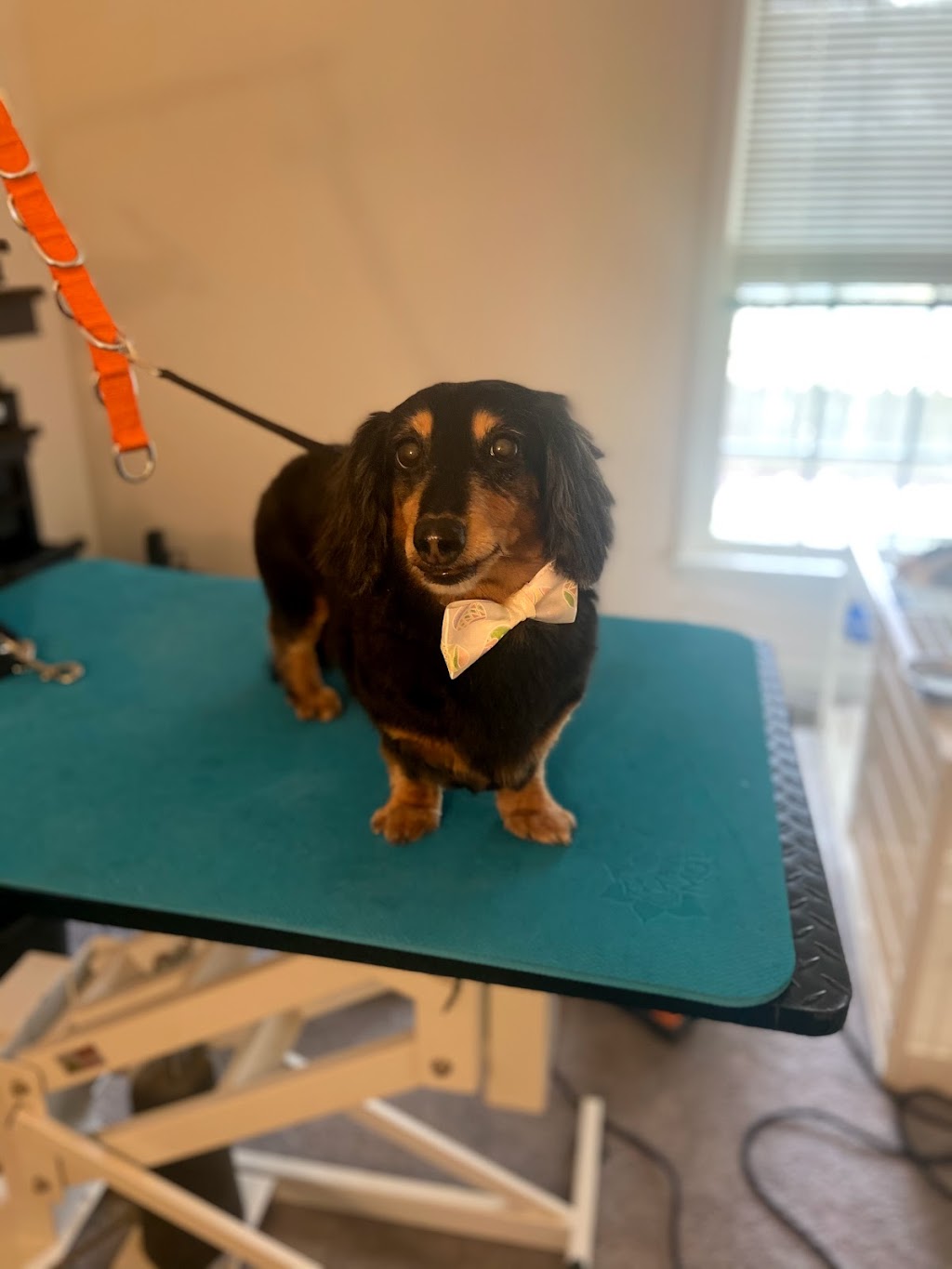 Express Mobile Truck Repair, LLC. | 1304 Teacup Spring Ct, Wake Forest, NC 27587, USA | Phone: (919) 603-7059