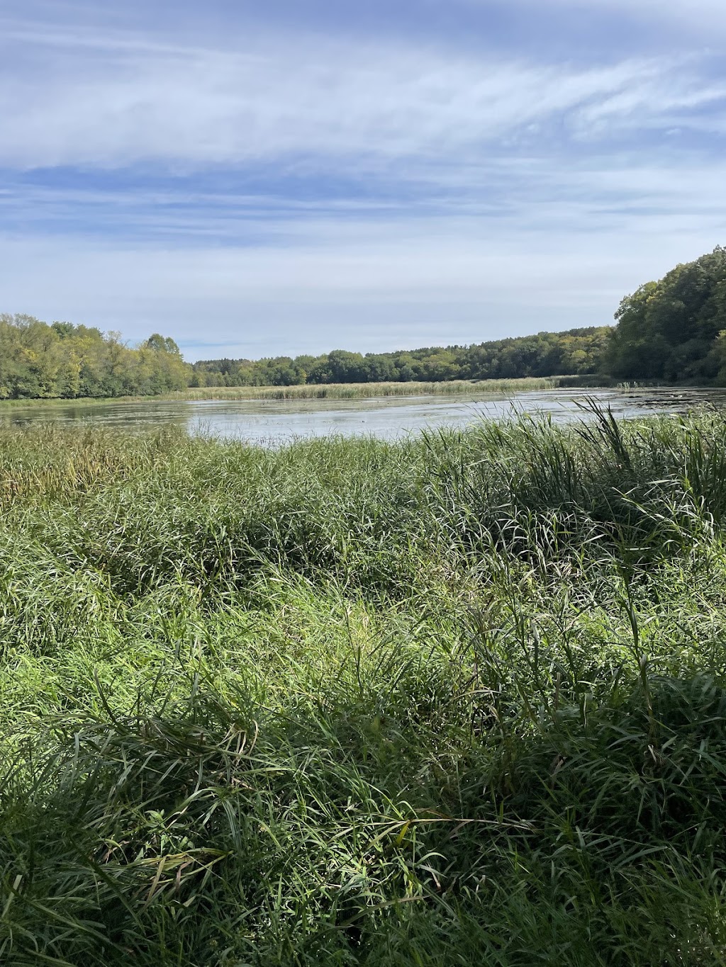 Rebecca Park Horse Lot | 8495-8933 Rebecca Park Trail, Rockford, MN 55373, USA | Phone: (763) 559-9000