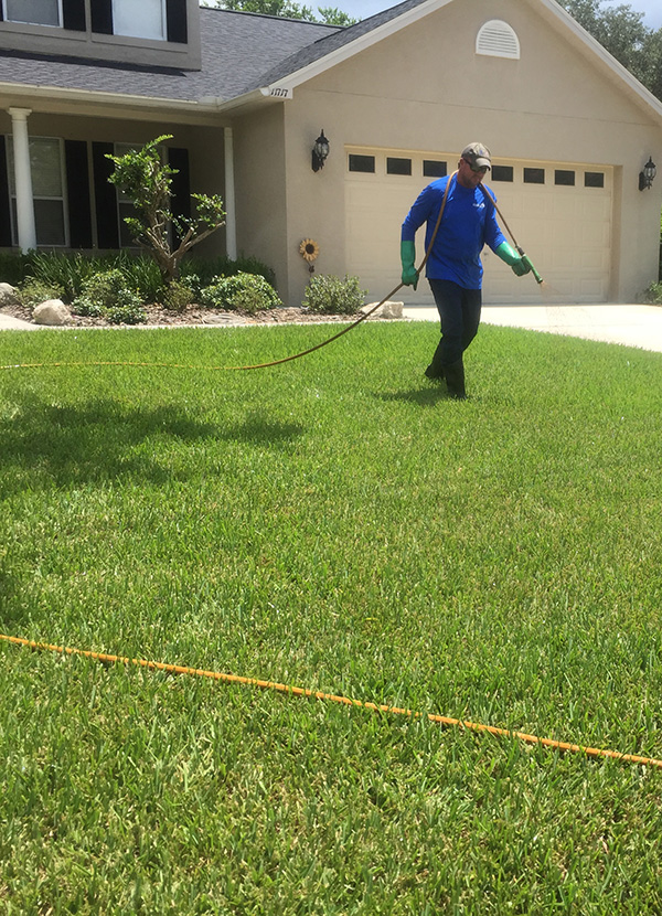 Benchmark Turf Management llc | 28747 Walker Dr, Wesley Chapel, FL 33544, USA | Phone: (813) 701-6999