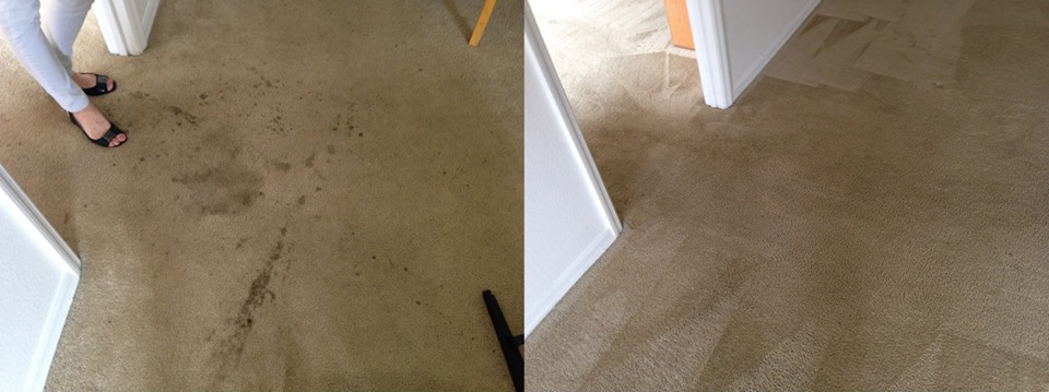 Citrus Carpet Cleaning Dacula | 682 River Cove Ct NE, Dacula, GA 30019 | Phone: (470) 252-2307