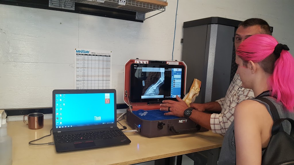 Tri Star Equine Veterinary Services | 24860 N Tully Rd, Acampo, CA 95220, USA | Phone: (209) 367-1160