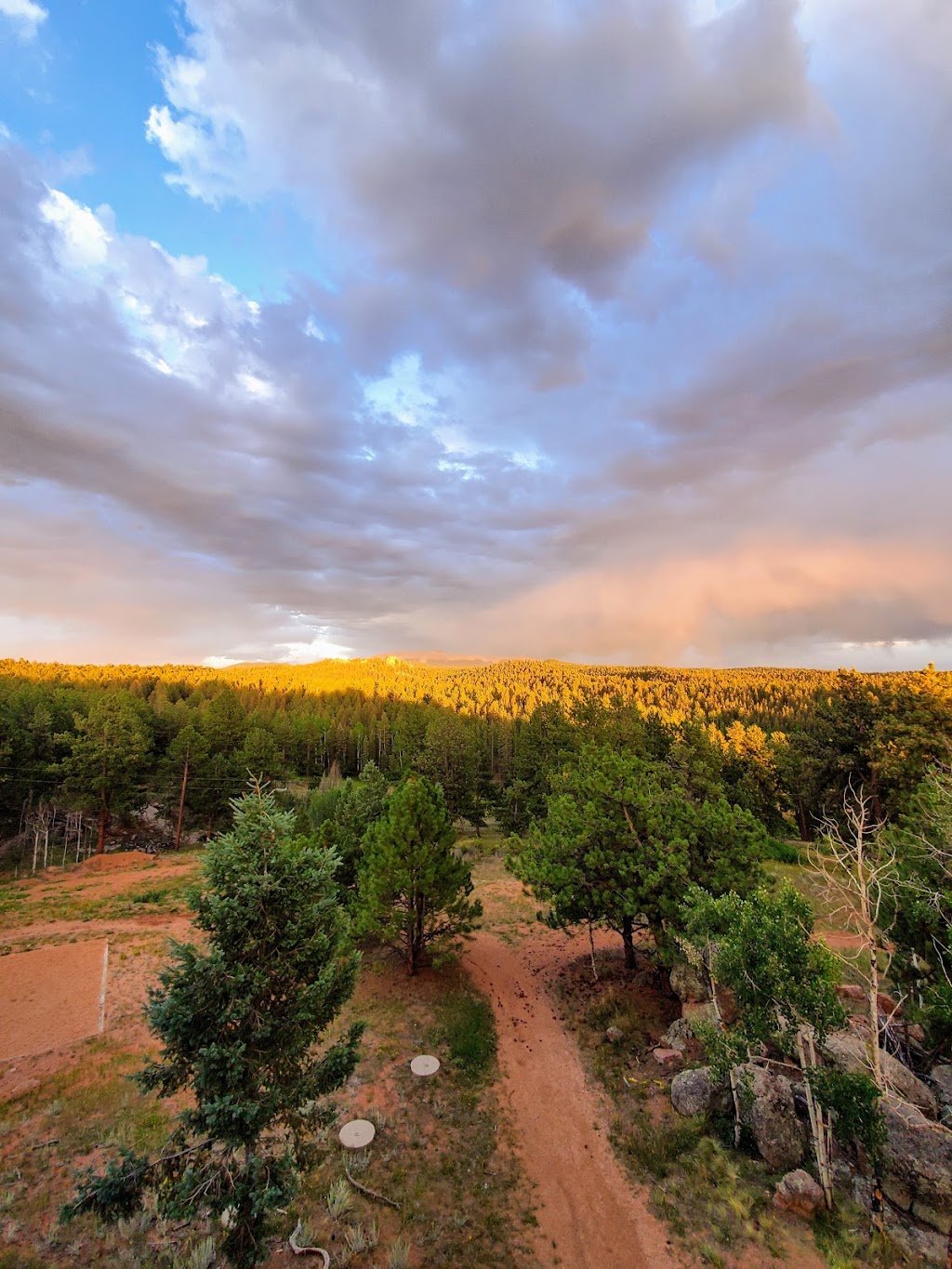 Dawn of Hope Ranch | 178 Palmer Dr, Florissant, CO 80816, USA | Phone: (719) 687-3425