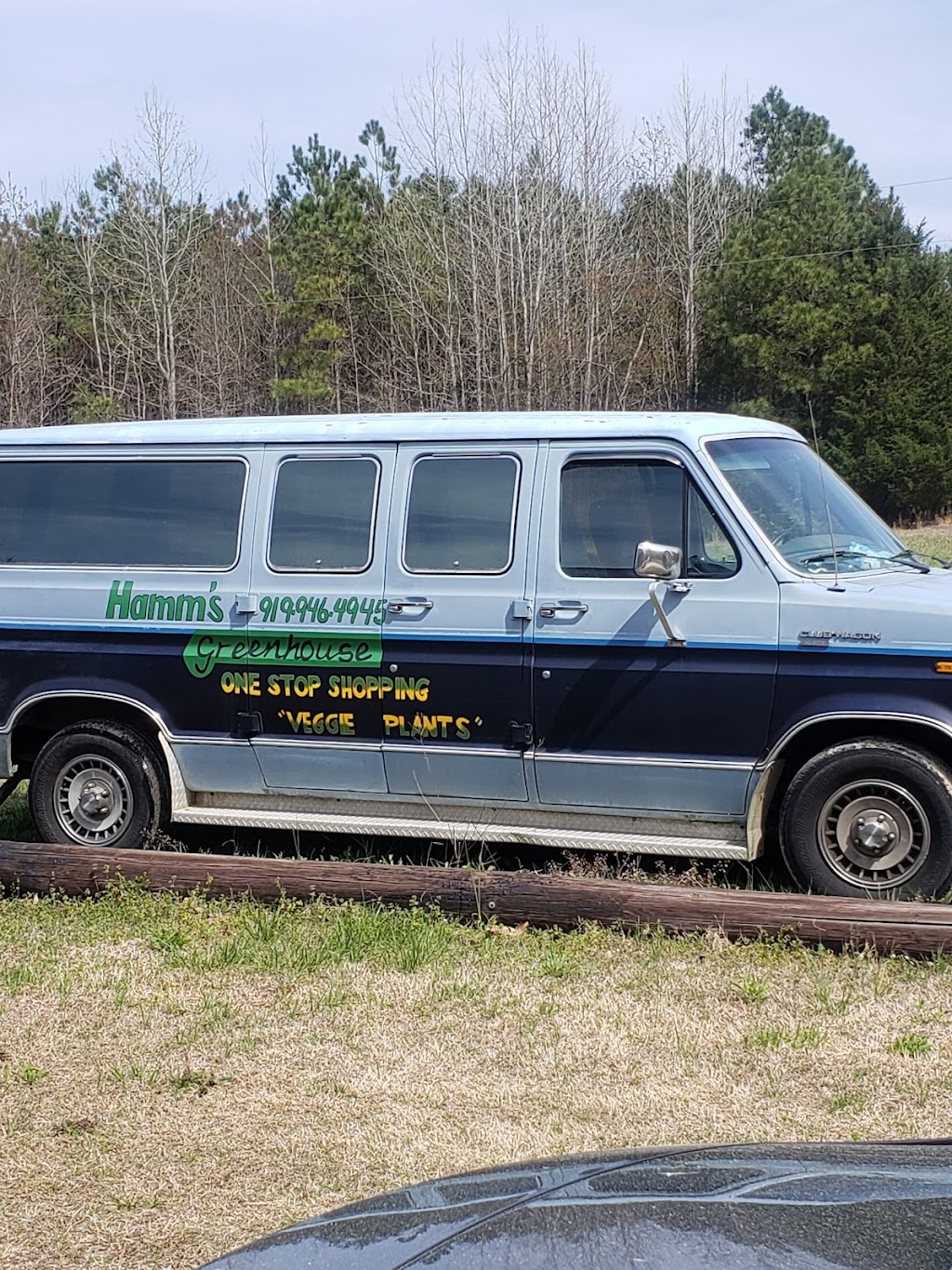 Hamms Greenhouse | 136 Flat Rock Church Rd, Louisburg, NC 27549, USA | Phone: (919) 946-4945