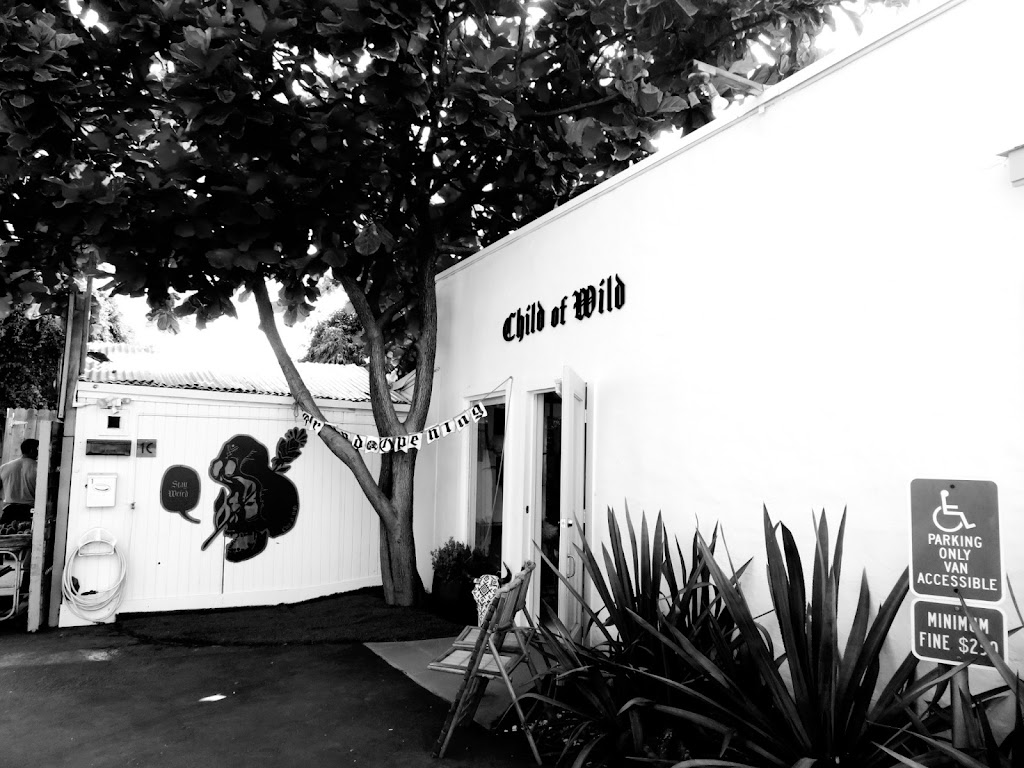 Child of Wild Shoppe | 1114 N Coast Hwy 101 #1C, Encinitas, CA 92024, USA | Phone: (619) 797-0032