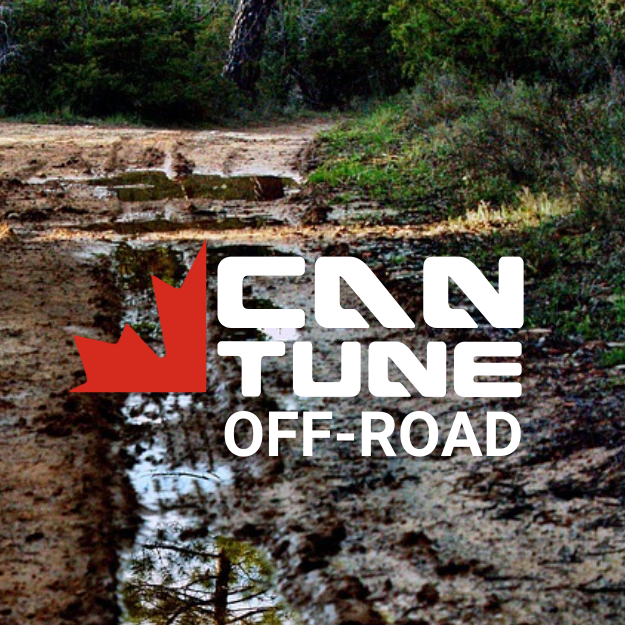 CanTune - Canadian Tuning | 3 Marina Dr, Port Colborne, ON L3K 6C6, Canada | Phone: (905) 703-4288