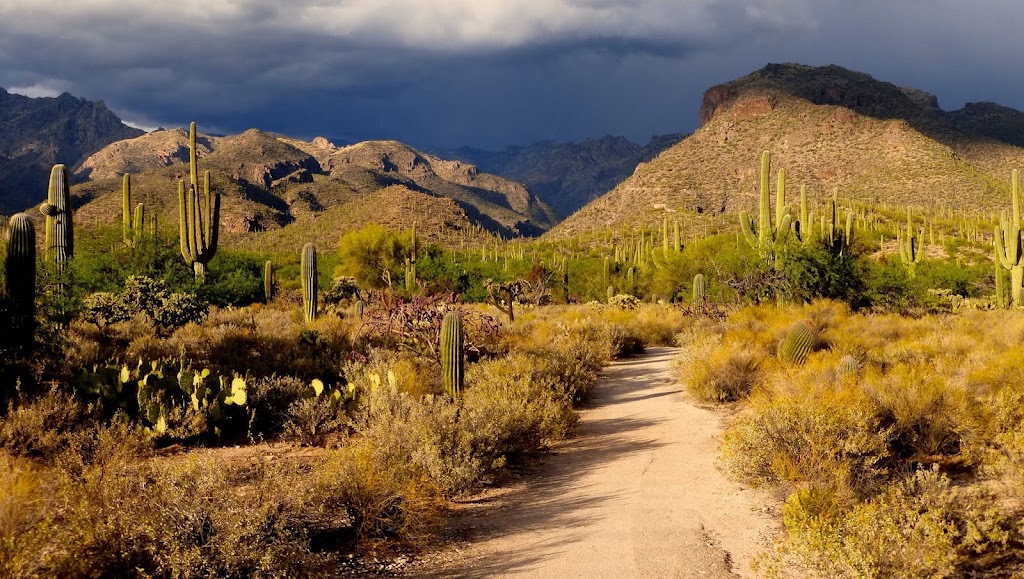 Sabino Canyon Recreation Area | 5700 N Sabino Canyon Rd, Tucson, AZ 85750, USA | Phone: (520) 749-8700