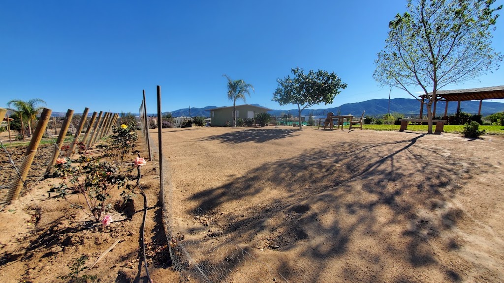 Finca del Pitic | Camino vecinal L 06, 22755 Ensenada, B.C., Mexico | Phone: 646 124 0436