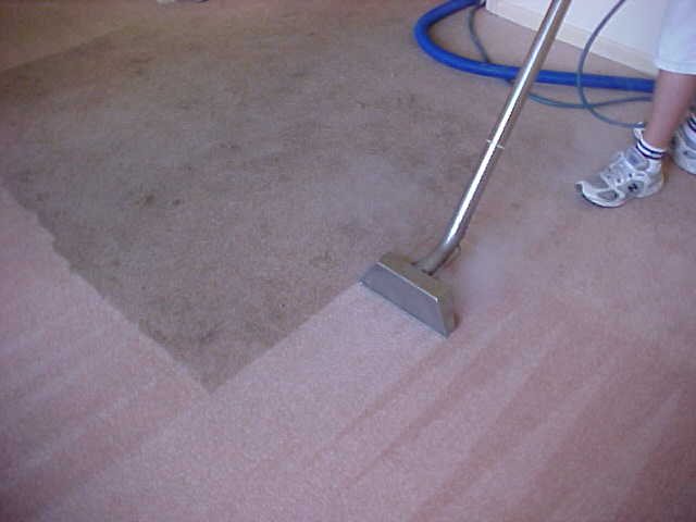 Pacific Carpet Cleaning | 1785 Palo Verde Ave, Long Beach, CA 90815, USA | Phone: (818) 688-4130