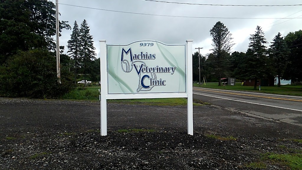 Machias Veterinary Clinic | 9379 Main St, Machias, NY 14101, USA | Phone: (716) 353-4441