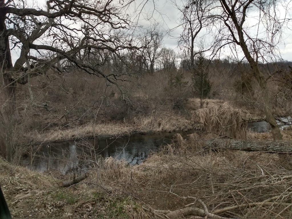 Watkins Lake State Park and County Preserve | 14801 Arnold Rd, Brooklyn, MI 49230, USA | Phone: (517) 467-7401