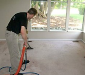 Carys Best Carpet Cleaning | 1425 Quarter Point, Raleigh, NC 27615, USA | Phone: (919) 348-2878