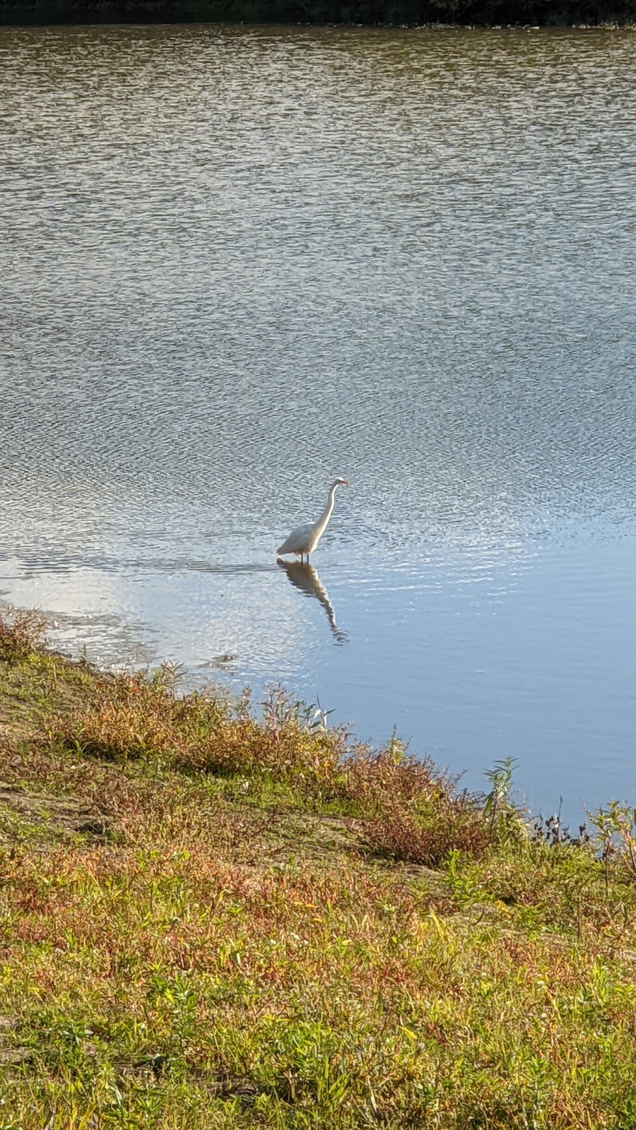 Buffalo Creek Reservoir | 18163 Checker Rd, Long Grove, IL 60047, USA | Phone: (847) 850-2100