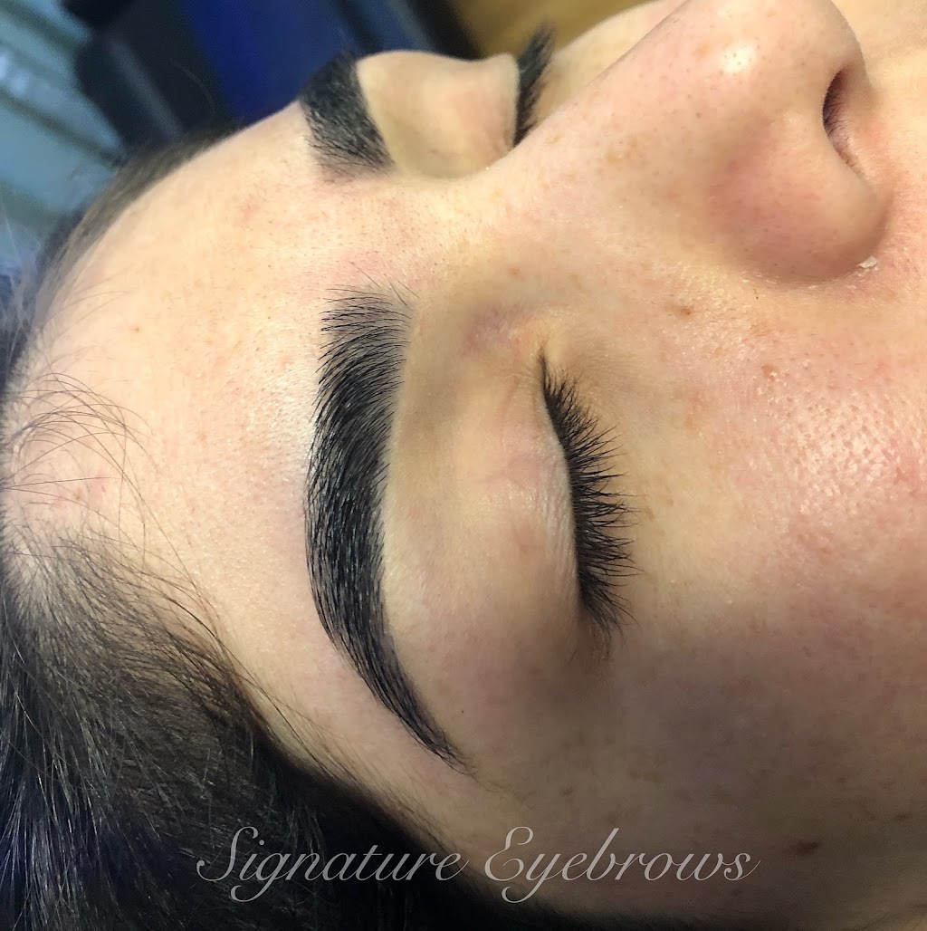 Signature Eyebrows #2 | 3209 Castro Valley Blvd #3, Castro Valley, CA 94546, USA | Phone: (510) 733-2559