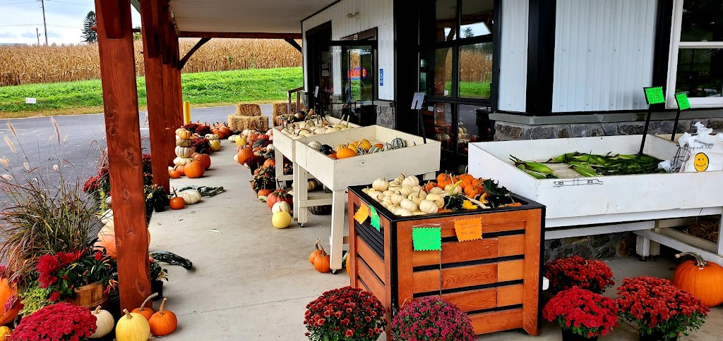 Eldora Farm Market | 1920 Lancaster Pike, Peach Bottom, PA 17563, USA | Phone: (717) 419-8414