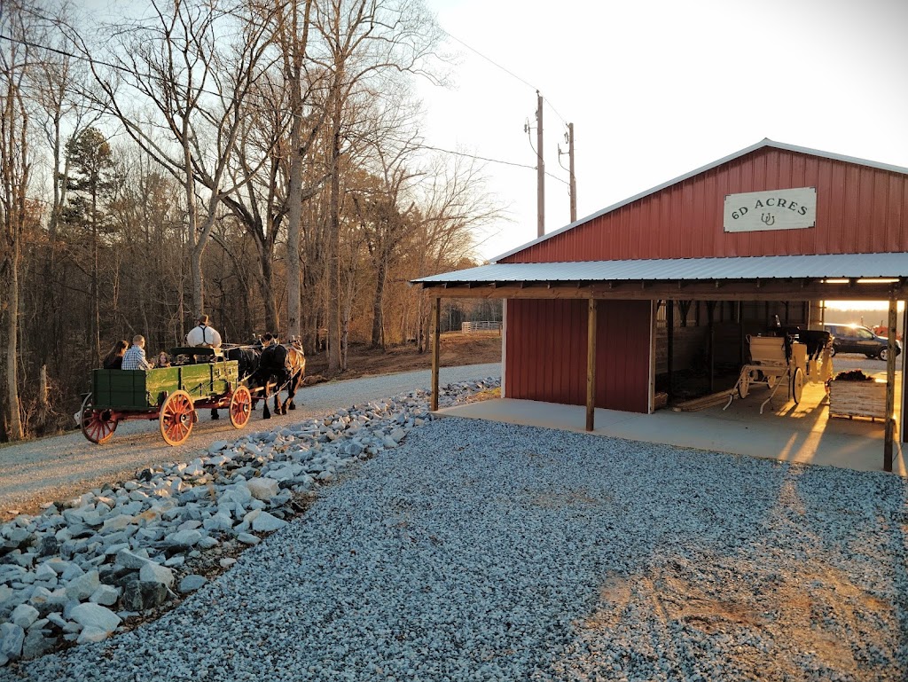 6D Acres Carriage and Wagons | 10582 NC-150, Linwood, NC 27299, USA | Phone: (828) 606-2935