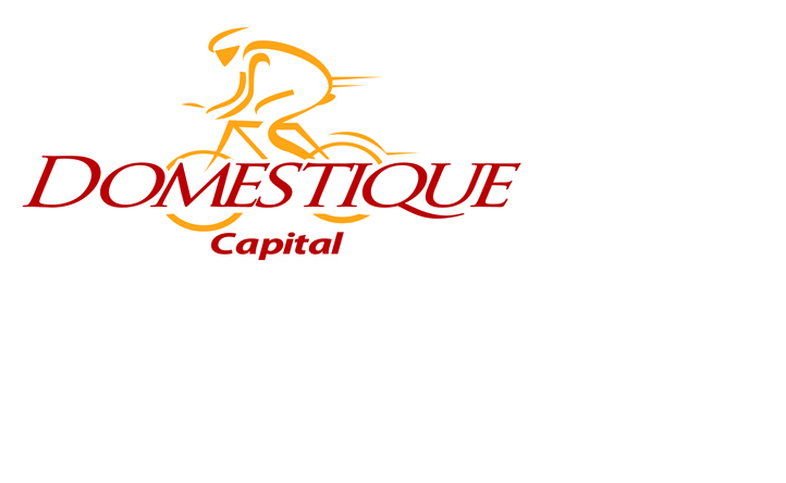 Domestique Capital LLC | 5809 Cardigan Dr, Plano, TX 75093, USA | Phone: (214) 215-2348