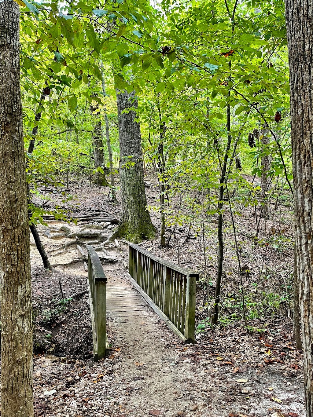 William B. Umstead State Park | 8801 Glenwood Ave, Raleigh, NC 27617, USA | Phone: (919) 571-4170