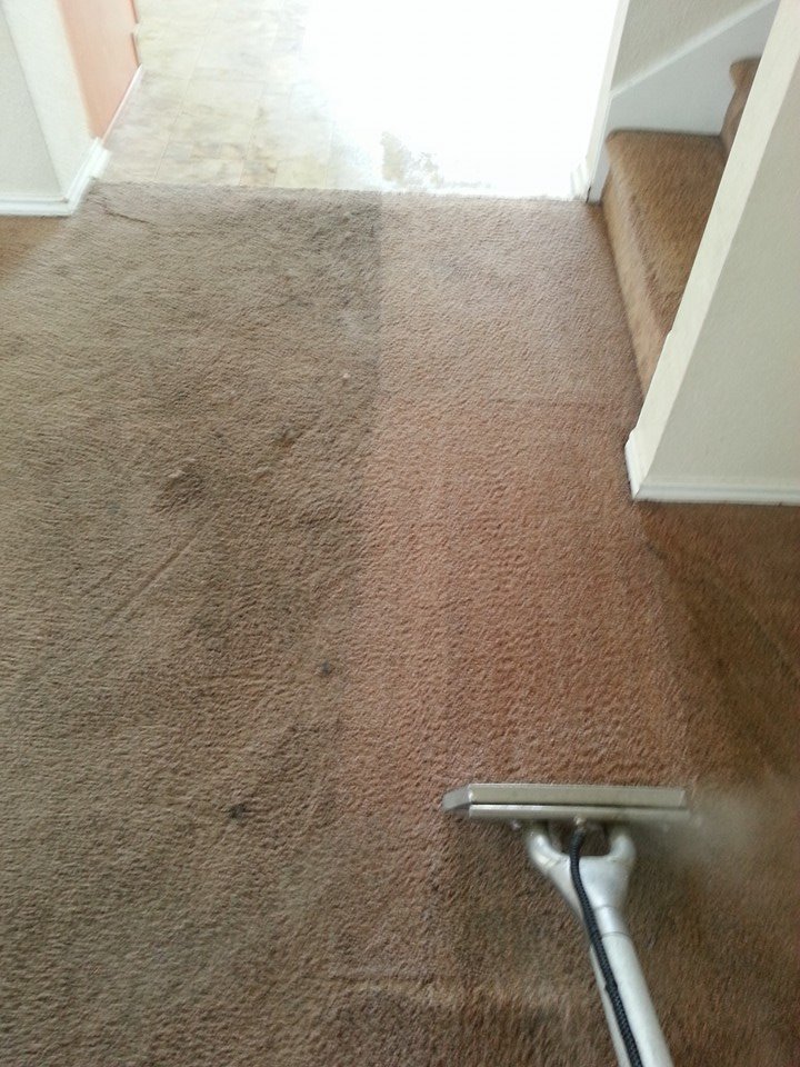 Steam Solutions Carpet Cleaning | 2610 Johnson Grass, San Antonio, TX 78251 | Phone: (210) 643-3812