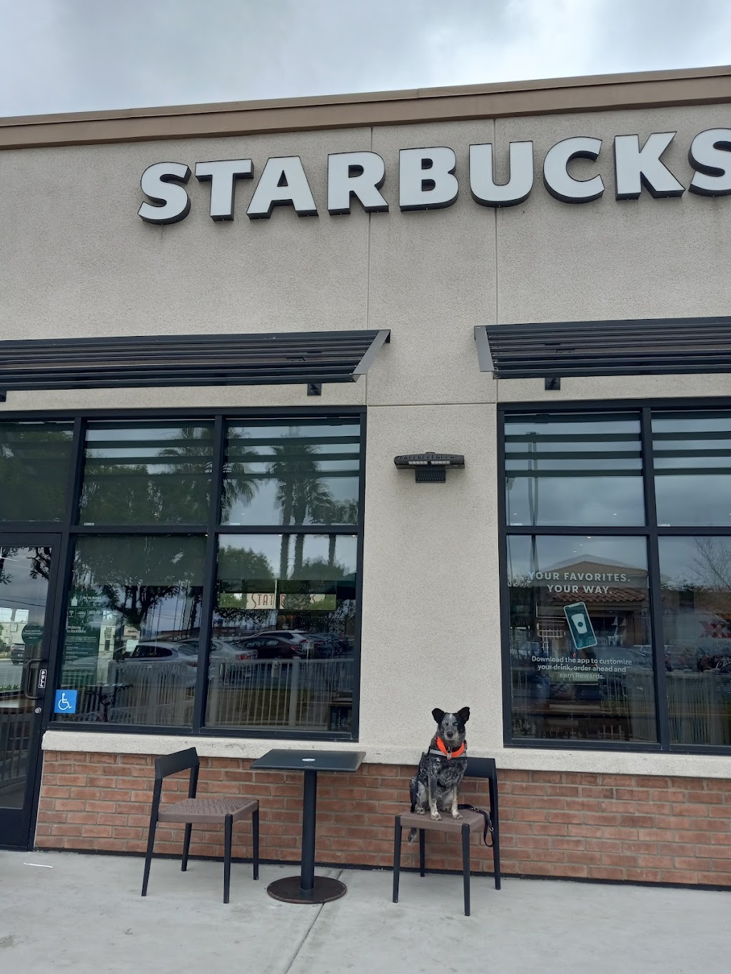 Starbucks | 1555 S San Jacinto Ave, San Jacinto, CA 92583, USA | Phone: (951) 492-1431