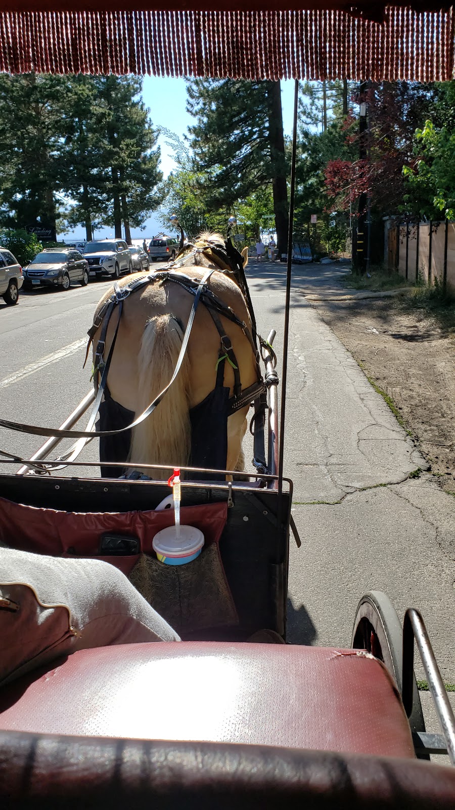 Borges Sleigh & Carriage Rides | 4130 Lake Tahoe Blvd, South Lake Tahoe, CA 96150, USA | Phone: (775) 588-2953