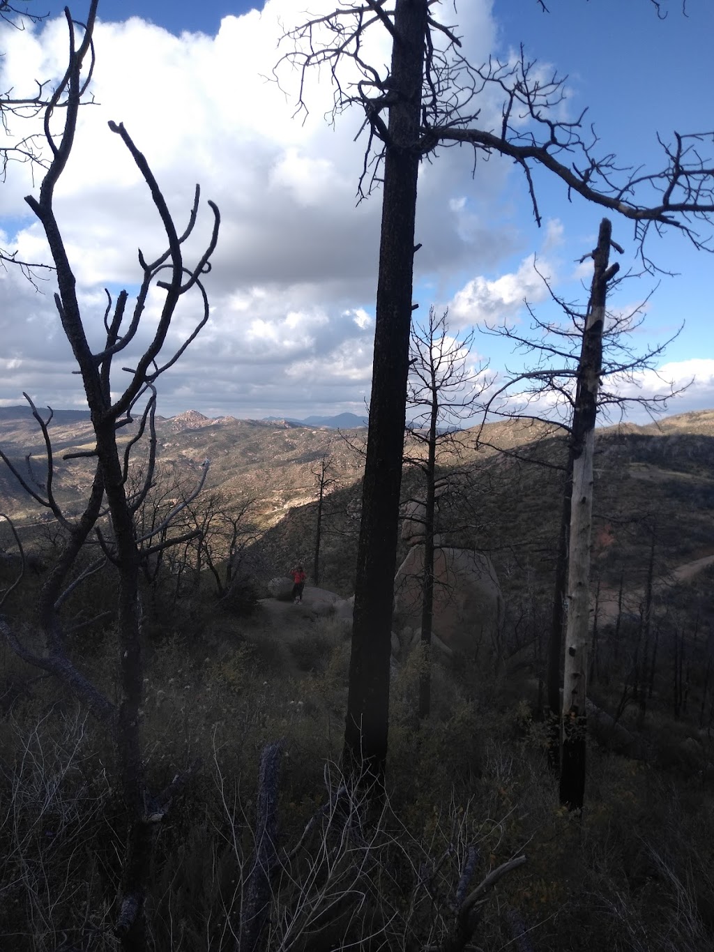 Lone Pine Trailhead | Pigeon Spring Rd, Tonto Basin, AZ 85553, USA | Phone: (480) 610-3300