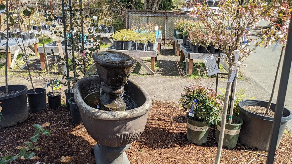 Bainbridge Gardens | 9415 Miller Rd NE, Bainbridge Island, WA 98110 | Phone: (206) 842-5888